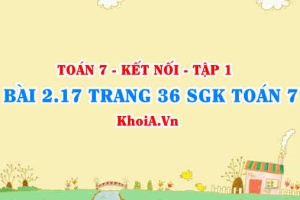 Bài 2.17 trang 36 SGK Toán 7 tập 1 Kết nối tri thức